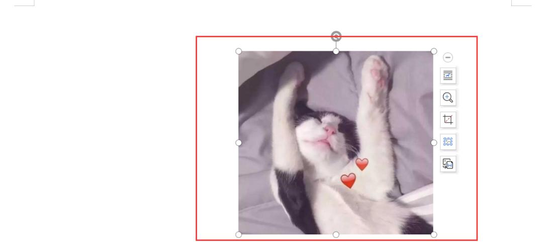 实用又易懂的WPS文档小技巧,快来一起学习吧