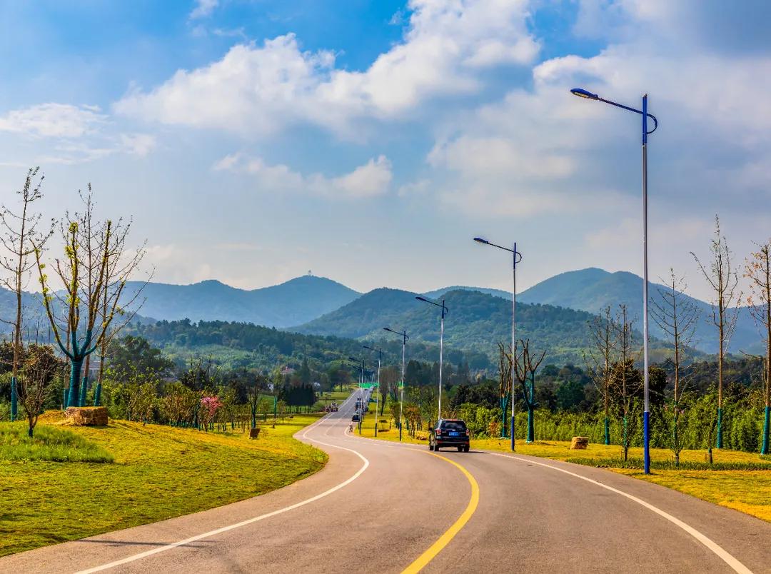 百图庆百年|“浦通”不普通！