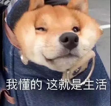 不走进商场看到价签，你都不知道自己有多穷