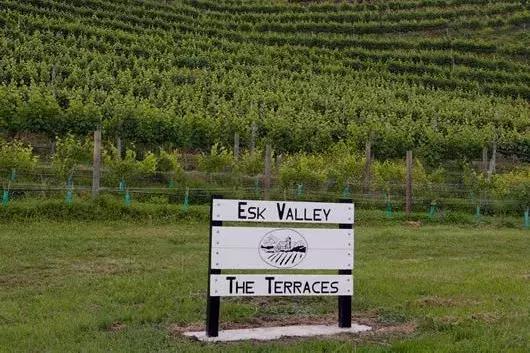 鏂拌タ鍏板悕搴勮憽钀勯厭,鏂拌タ鍏拌啘鎷滅骇鍚嶅簞