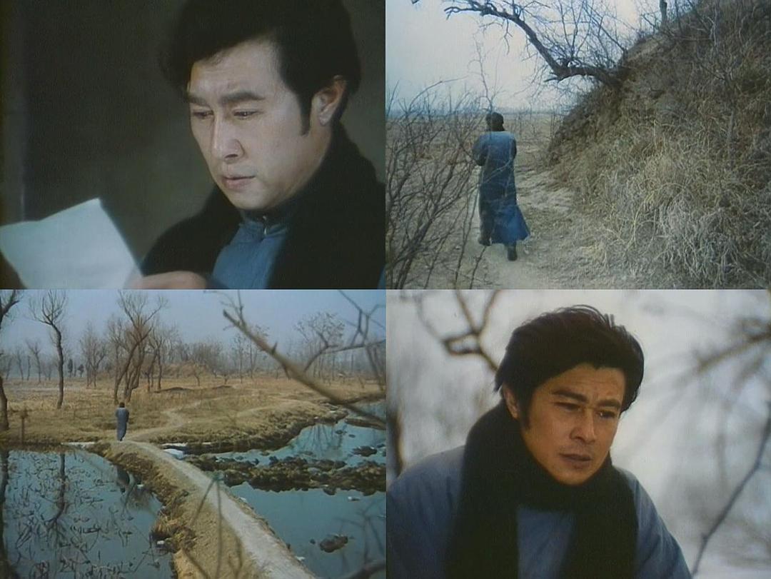 鲁迅《伤逝》涓生和子君，若生活在当今社会，结局会怎样