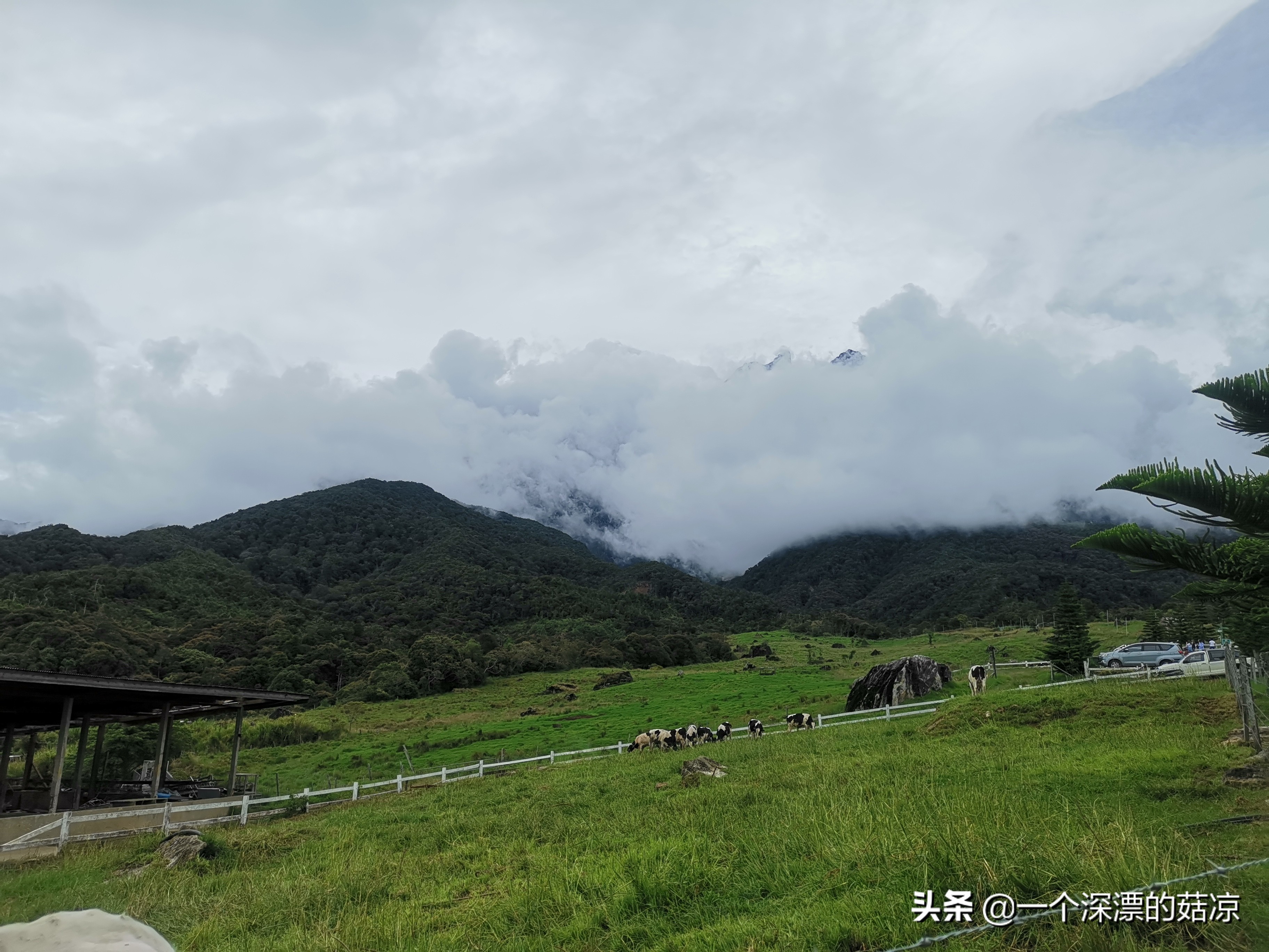 在夏天结束前去海边,在夏天结束之前去一次海边