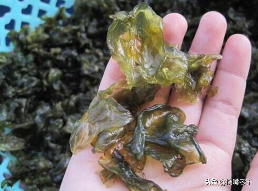 农村常见可以吃的植物,农村一种植物价值高别忽视