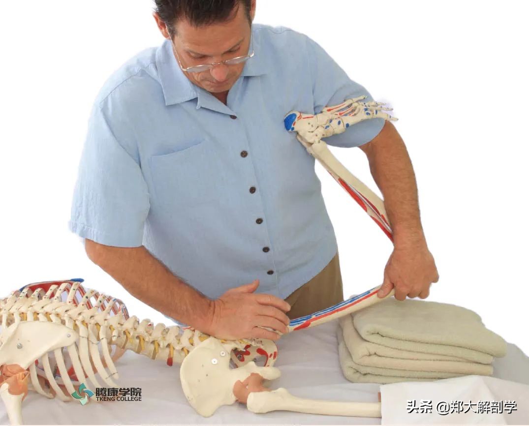 下背部疼痛吃什么药,治疗背部疼痛的最好方法