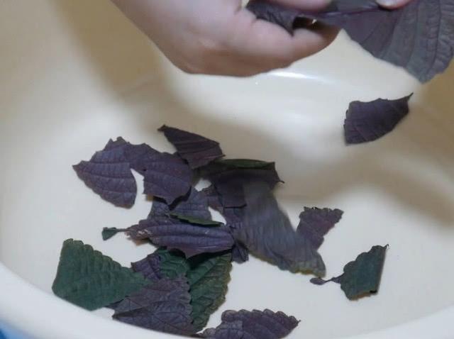 脚容易出汗怎么办？鞋臭怎么办？只需一招轻松搞定