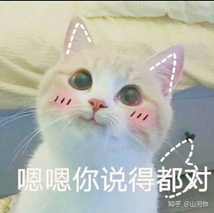 北大学姐教你一次过法考