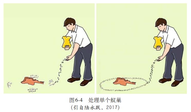 红火蚁图片危害,红火蚁的危害及防治方法