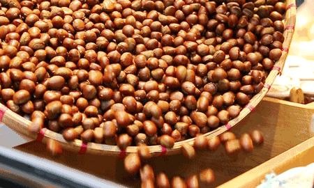 食用板栗胃出血的原因,板栗吃多了胃里烧得慌怎么办