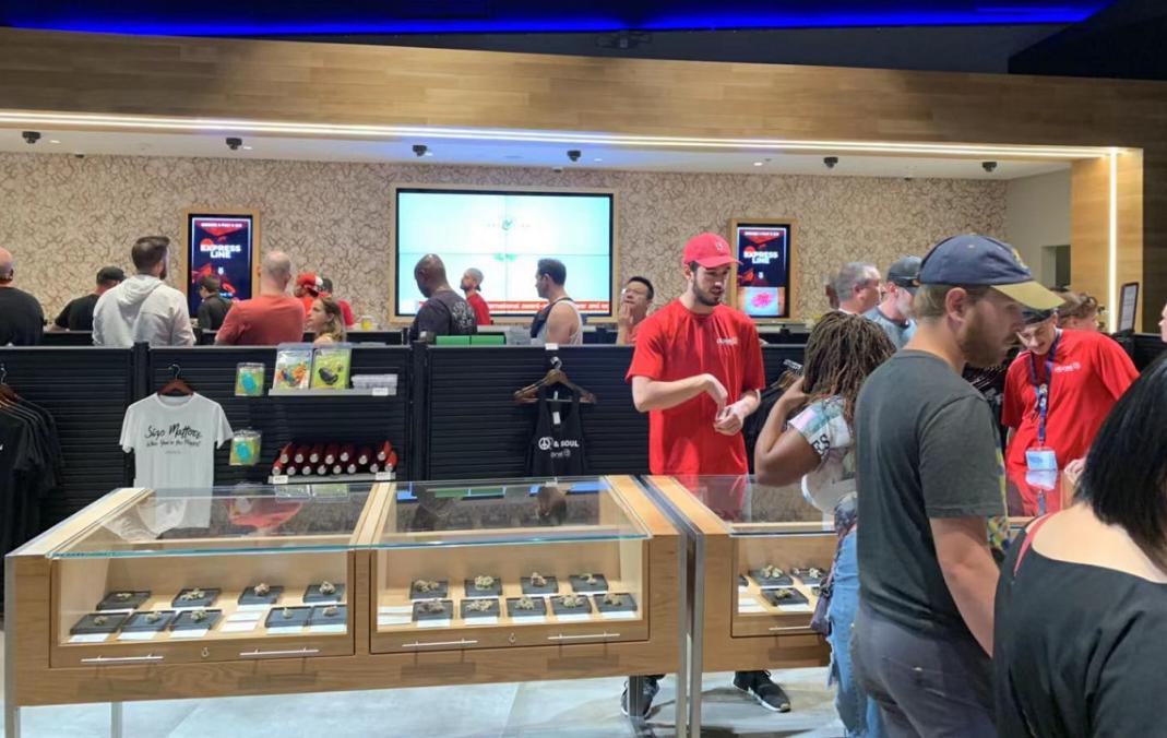 为“麻”疯狂！带你走进美国种植现场