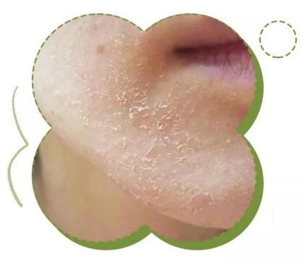 澳大利亚财政部长首推品牌，进国后让柳岩薇娅同时着迷，太疯狂了