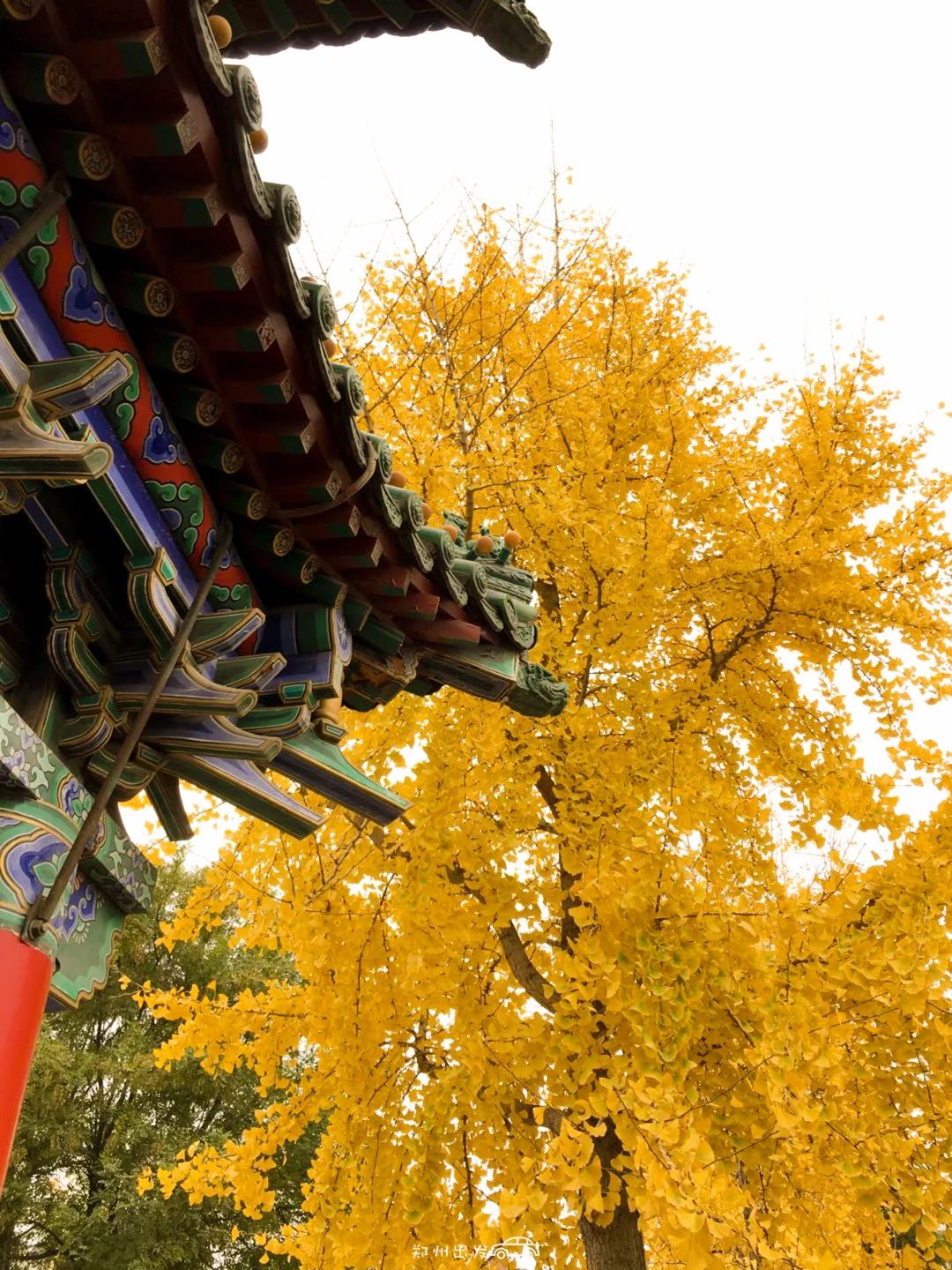 郑州漂亮的秋色风景,郑州的这些湖畔藏着最美的秋色