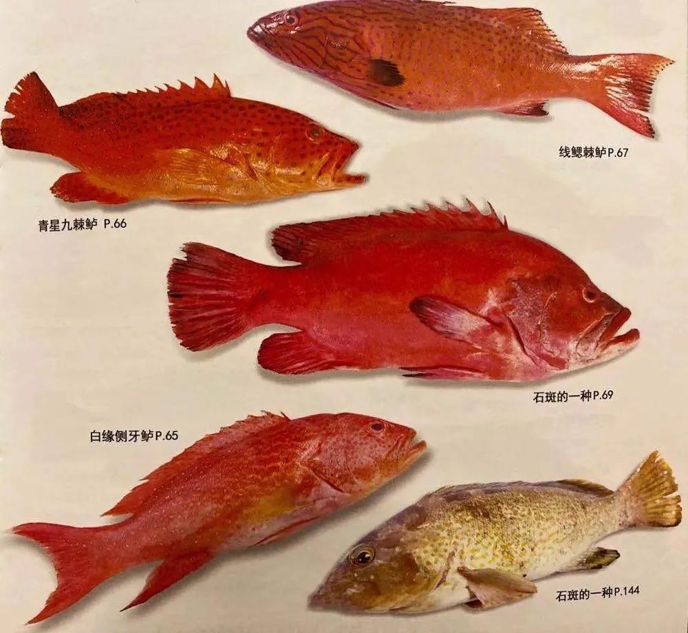 蹇嶄笉浣忔媿缇庨鍙戞湅鍙嬪湀,鍑″皵璧涚編椋熷