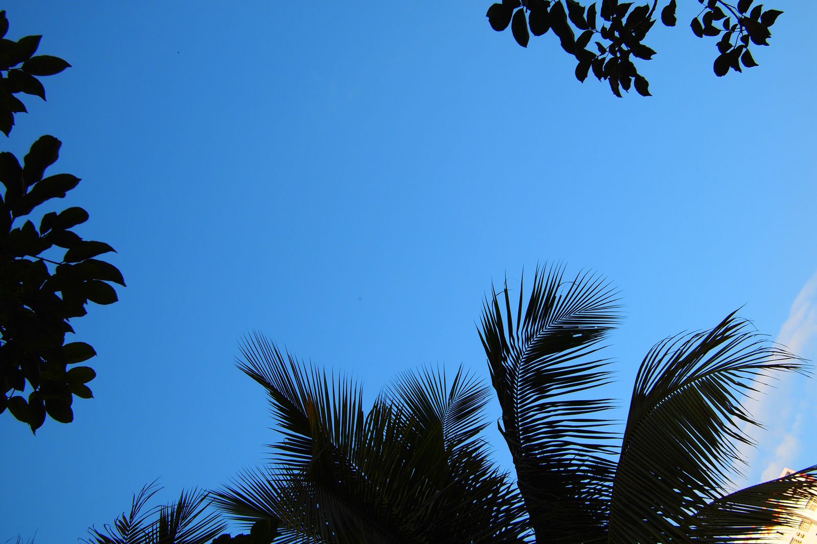 海南租车别克7座每天价格,海南自驾租车最便宜