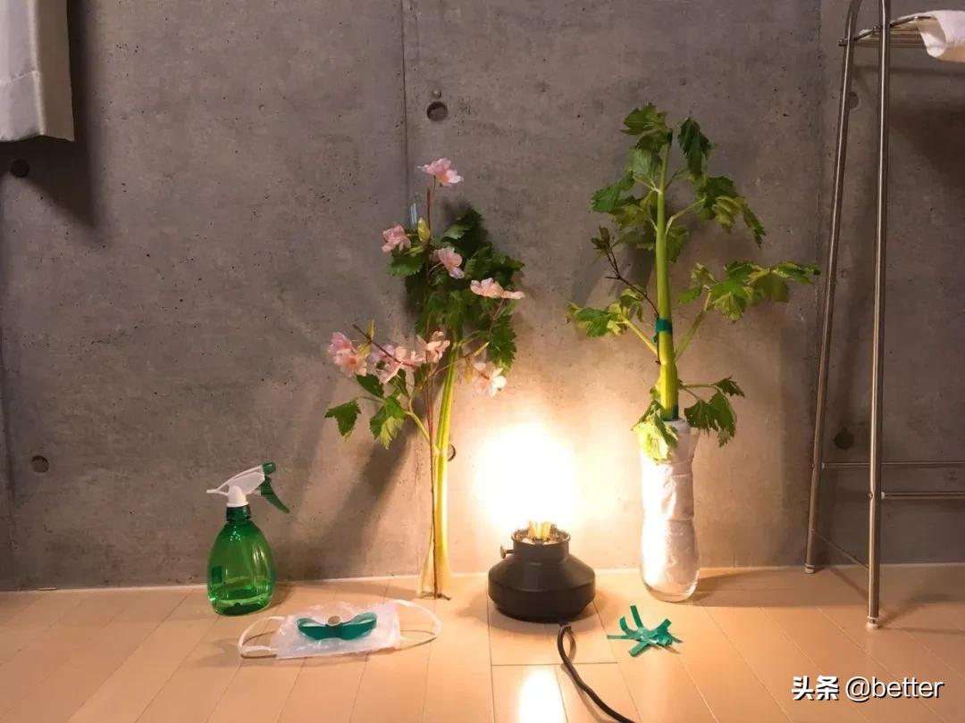 看戏剧看什么,看戏剧要不要先看一遍