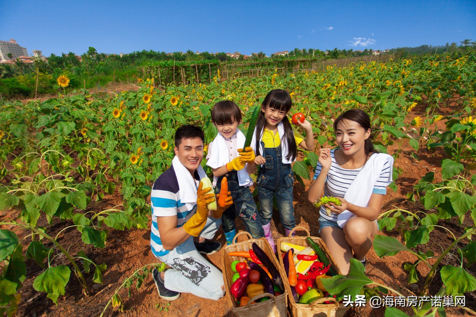到海南买二手房,澄迈富力红树湾怎么去