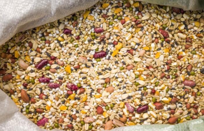 早上来一碗营养美味又健康,易消化的养胃八宝粥