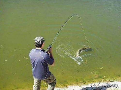 溜鱼老是切线?这两个小妙招你该看一下——盛世三渔