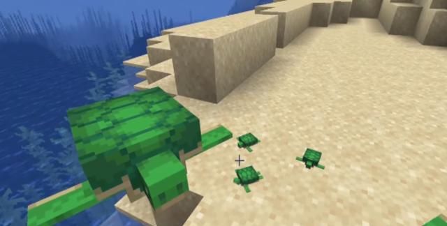 我的世界mc玩家知道的小知识,我的世界mc最难遇见的生物