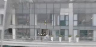 美国网红购豪宅,美国网红买下一万平城堡