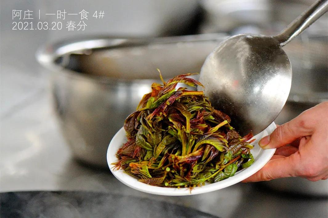 舌尖上的春天香椿菜,舌尖上的春天美食之香椿