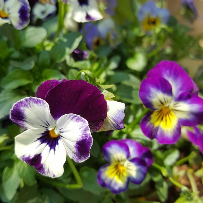 安装阳台窗户注意事项有哪些,装阳台注意事项和细节