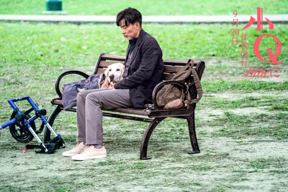 你有被人坚定的选择过吗原视频,你有被人坚定的选择过吗