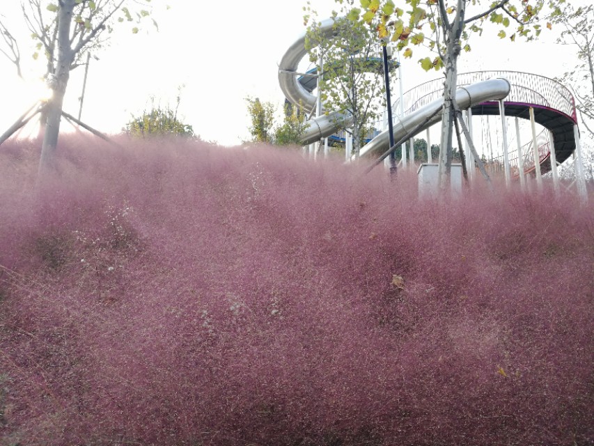 青岛十大小镇,青岛海边小镇