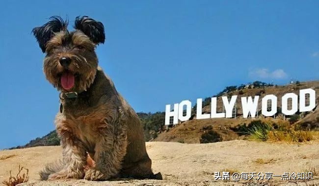 99个冷知识,九十个冷知识