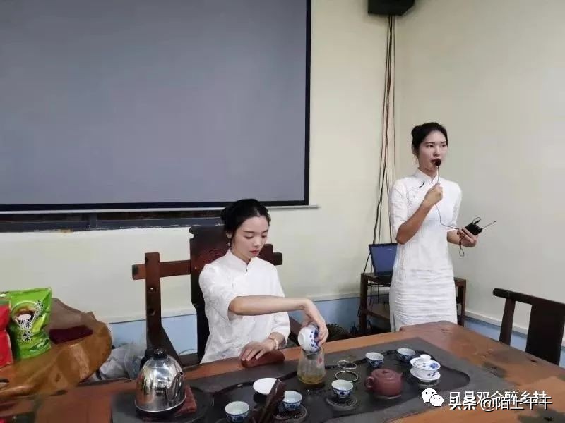 鹤山双好茶韵农耕研学基地值不值,江门茶文化研学基地