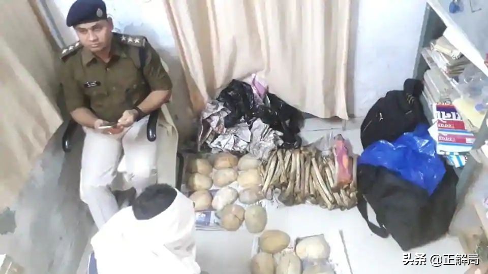 印度最黑暗神秘产业,印度黑产