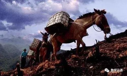 茶马古道寻找茶文化之旅,消失的茶马古道和茶文化