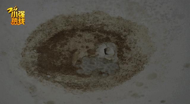 杭州一女子花4万租房,杭州一女孩租房后续