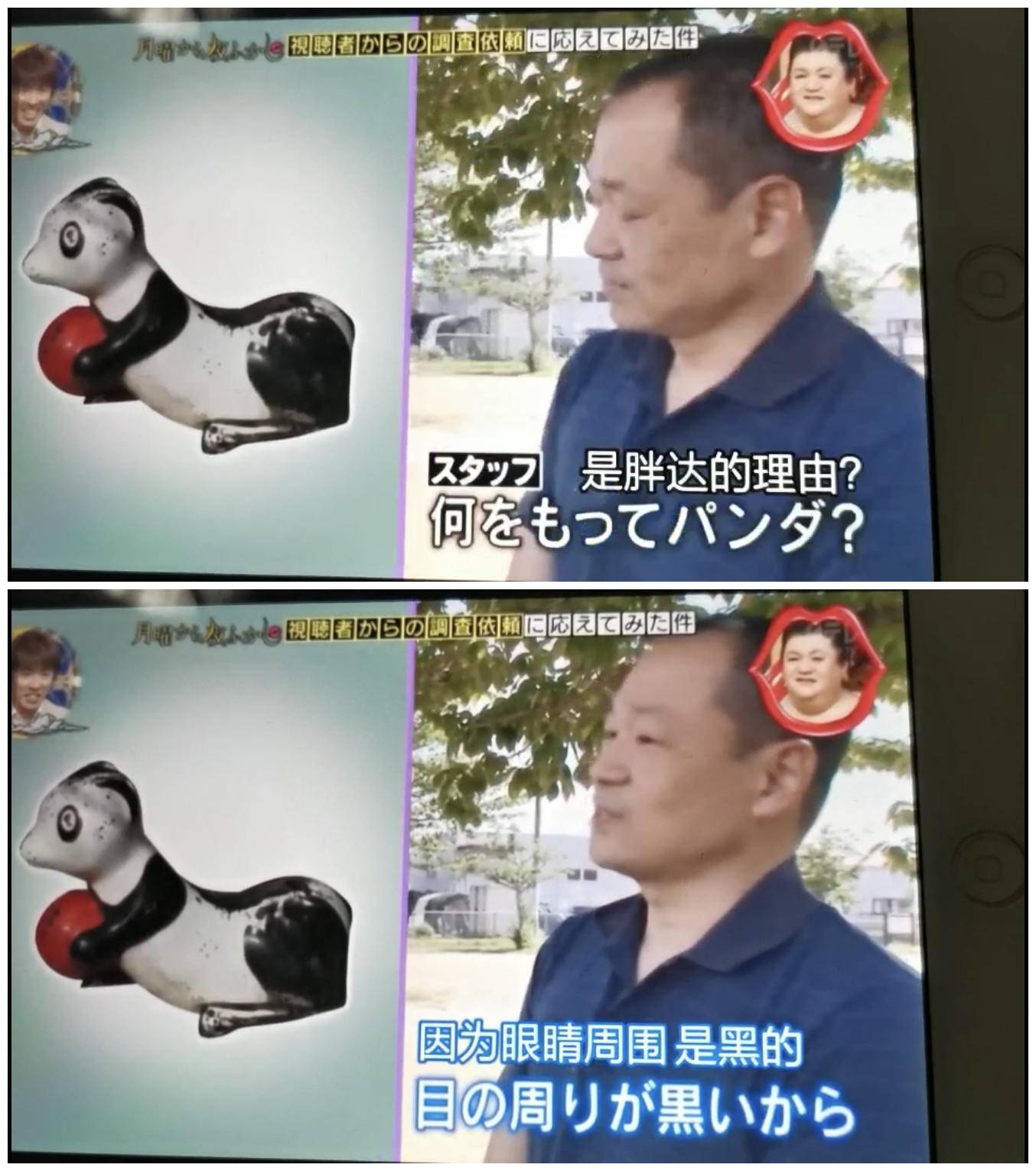 桥本环奈坂口健太郎,桥本环奈工具