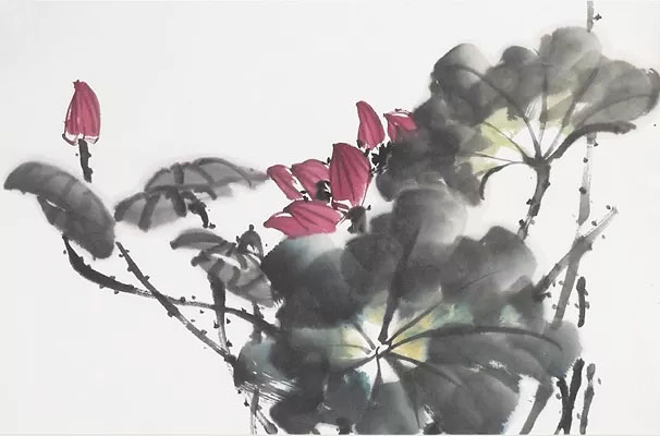 蜻蜓荷花图怎么画,夏天带有荷花蜻蜓的场景画法