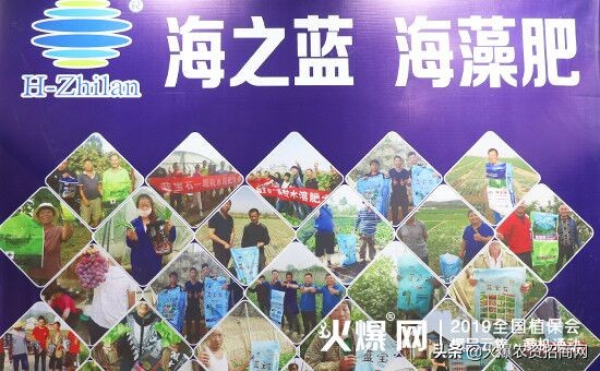 我为海之蓝代言,我为海之蓝代言谁拍的