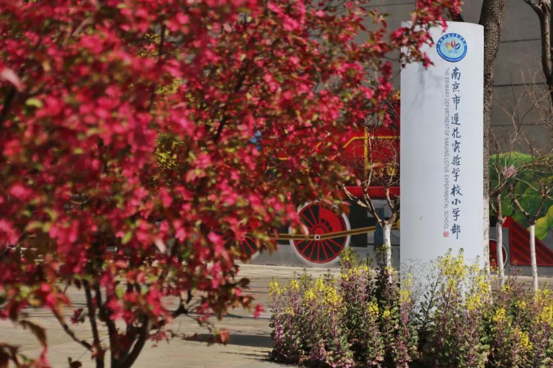 南京这所小学“弯道超车”,做了什么?