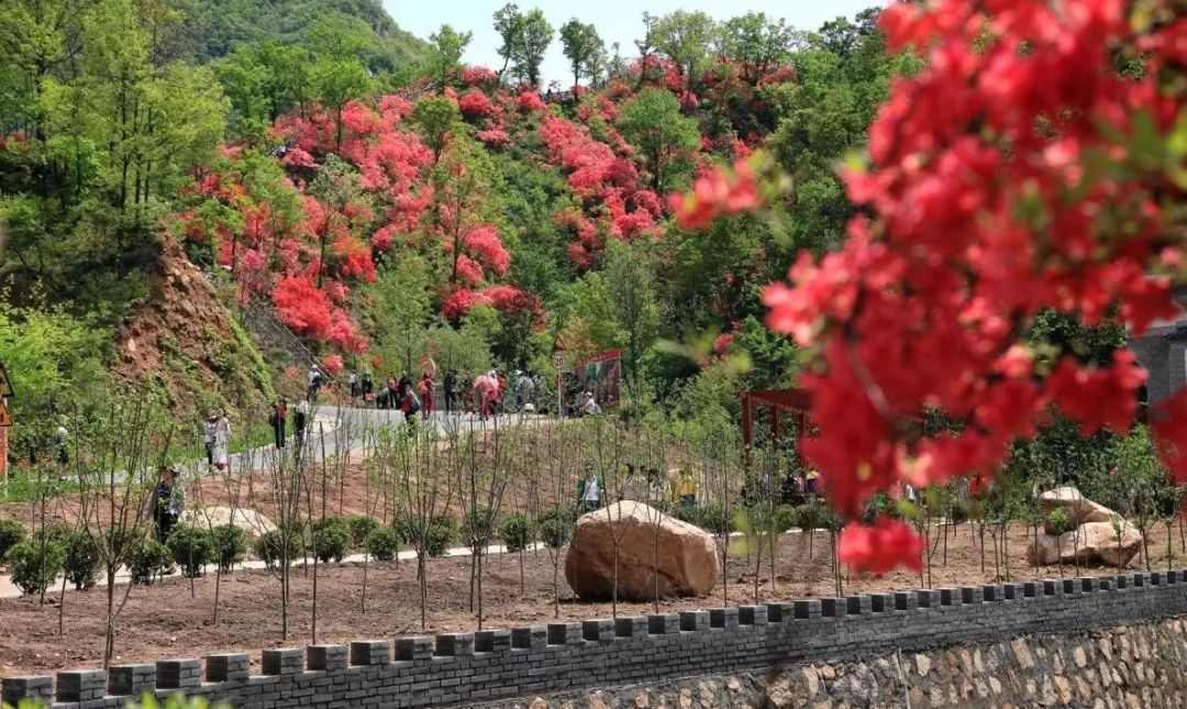 西泰山的特点是什么,西泰山为啥叫西泰山