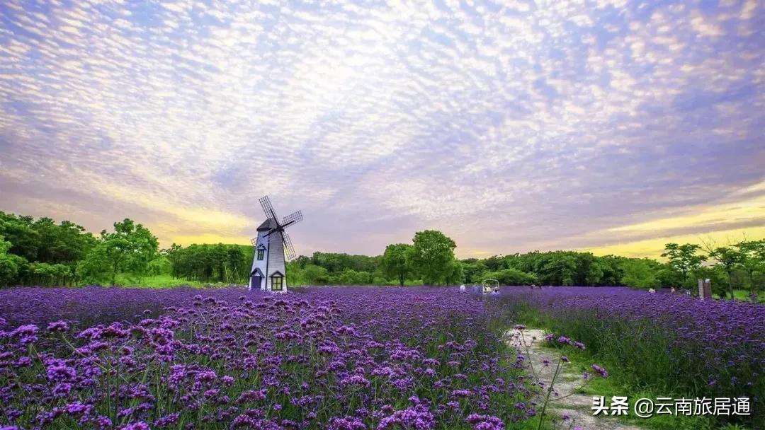 十里花巷·云山洋房|花语云山藏佳境——雅居乐·西双林语
