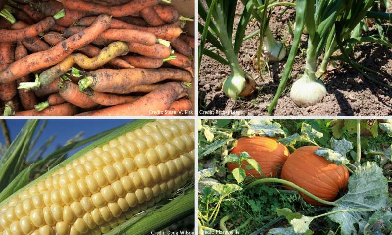 磷元素最好的来源,磷元素在生物中的作用