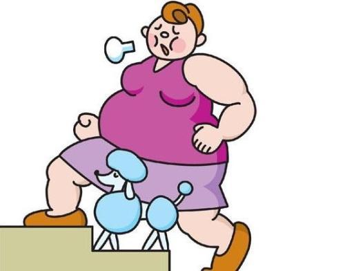 宝宝太胖怎么调整体重减肥,宝宝太胖会有什么坏处