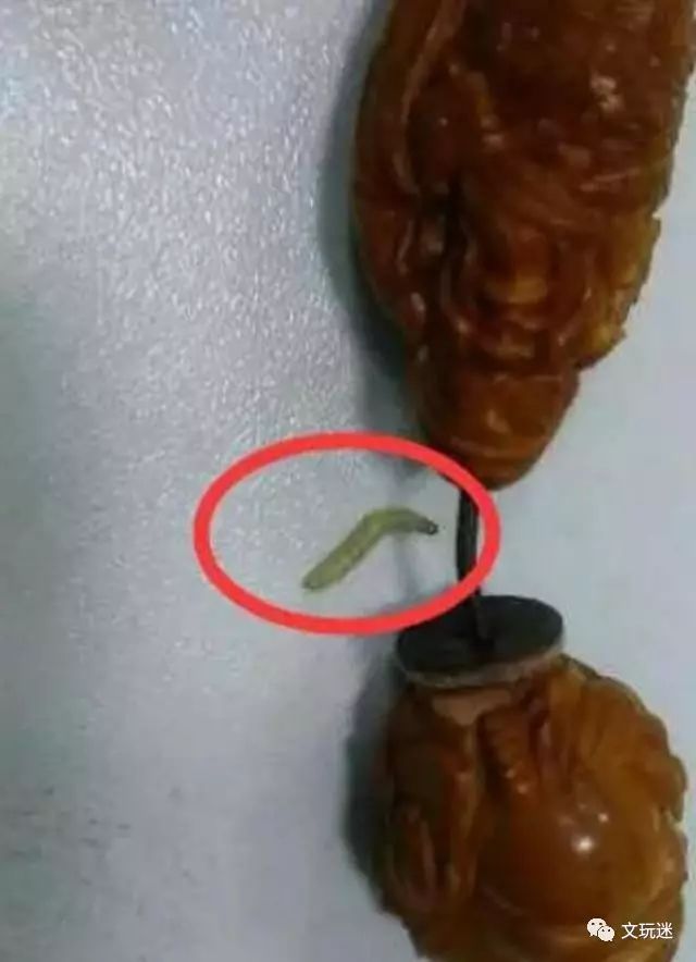 菩提手串长毛发霉有危害,菩提手串长虫子对我们有什么危害
