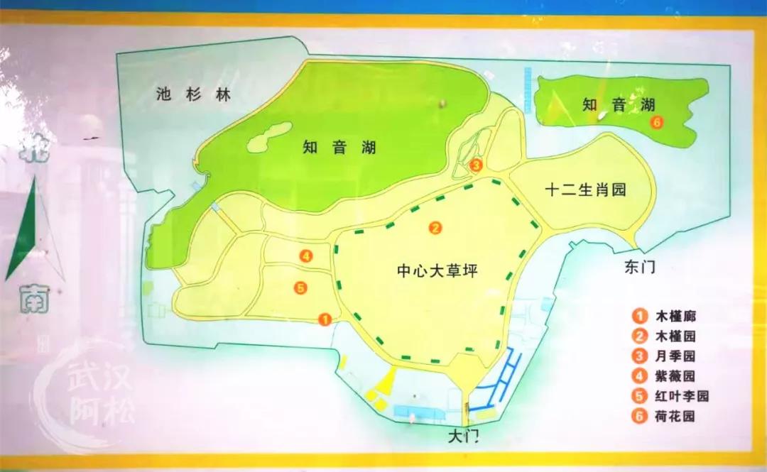 华丽转身！全面开挂！2020年这个区域涅槃重生！走上人生巅峰