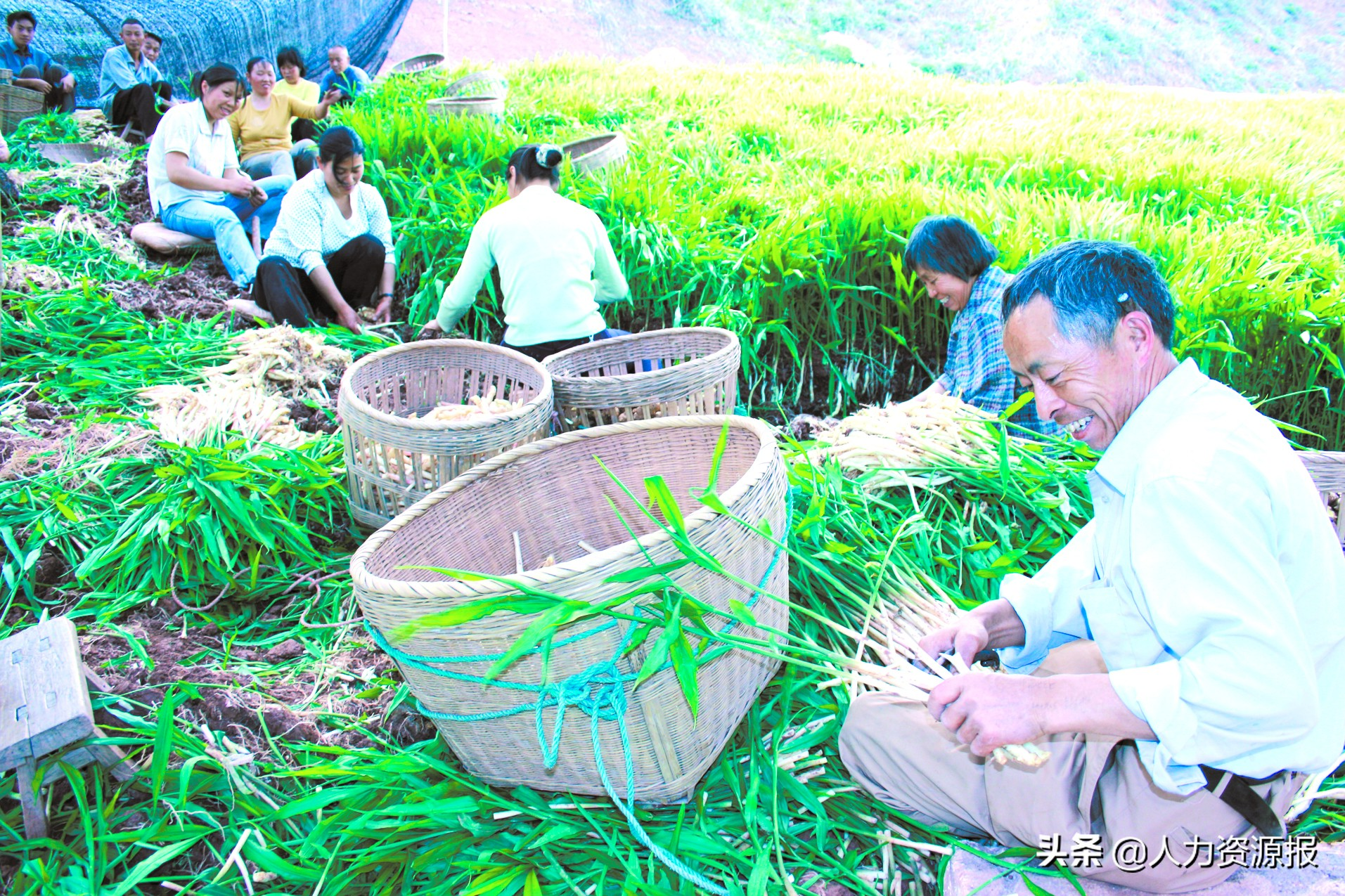 扶贫路上的邮政力量,扶贫路上的扶贫人