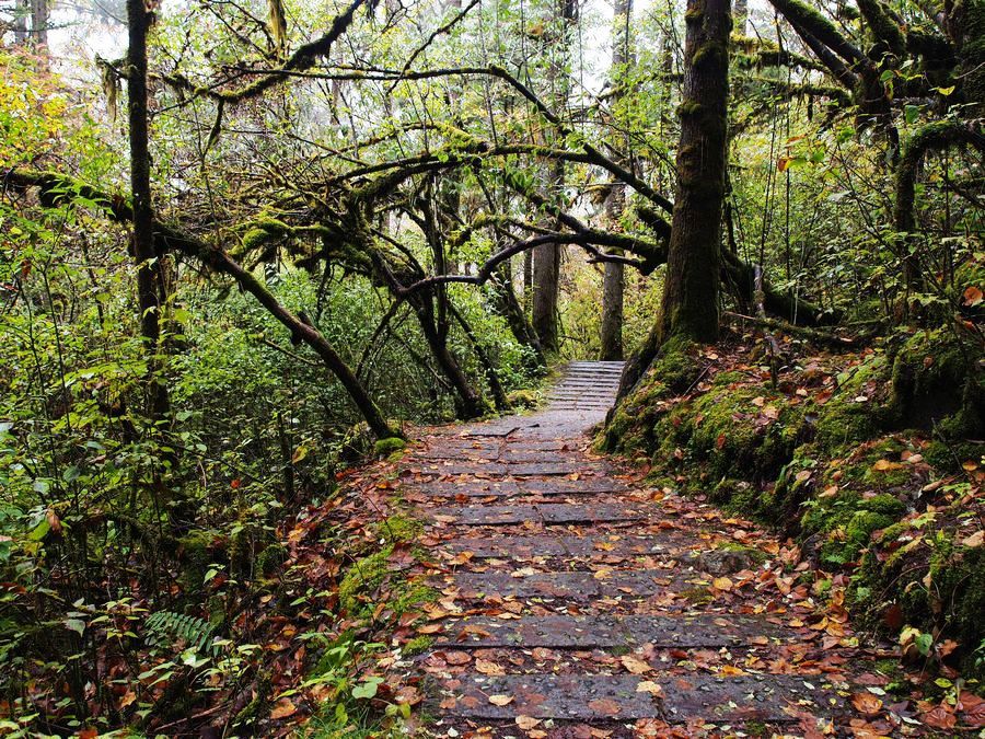 又美又神秘的风景,海螺沟的景色太美啦