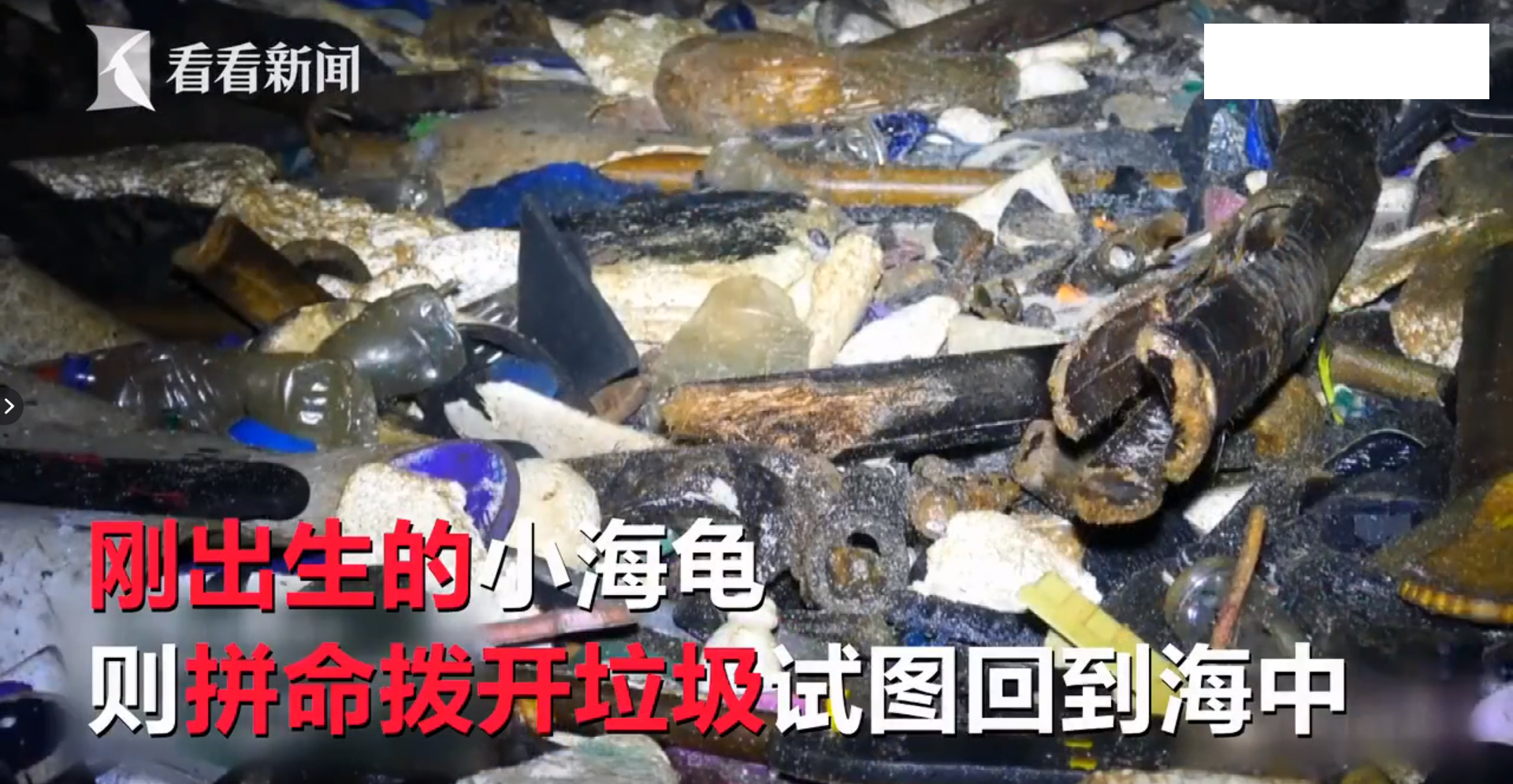 救救她韩语,救救她