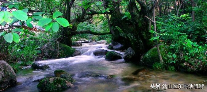 栾川旅游景点秋天养子沟,栾川养子沟景区怎么样