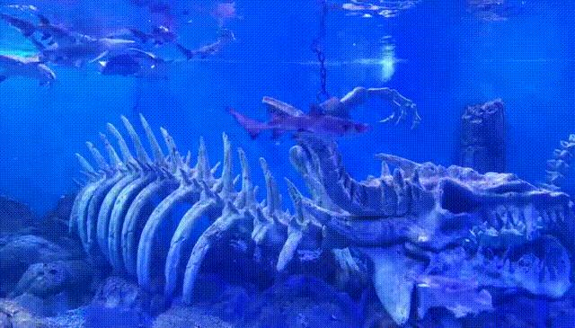 长沙市发布高温黄色预警,黄色高温预警是多少度