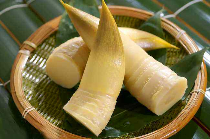 竹笋的种植方法全过程视频,怎么种植可以吃的竹笋