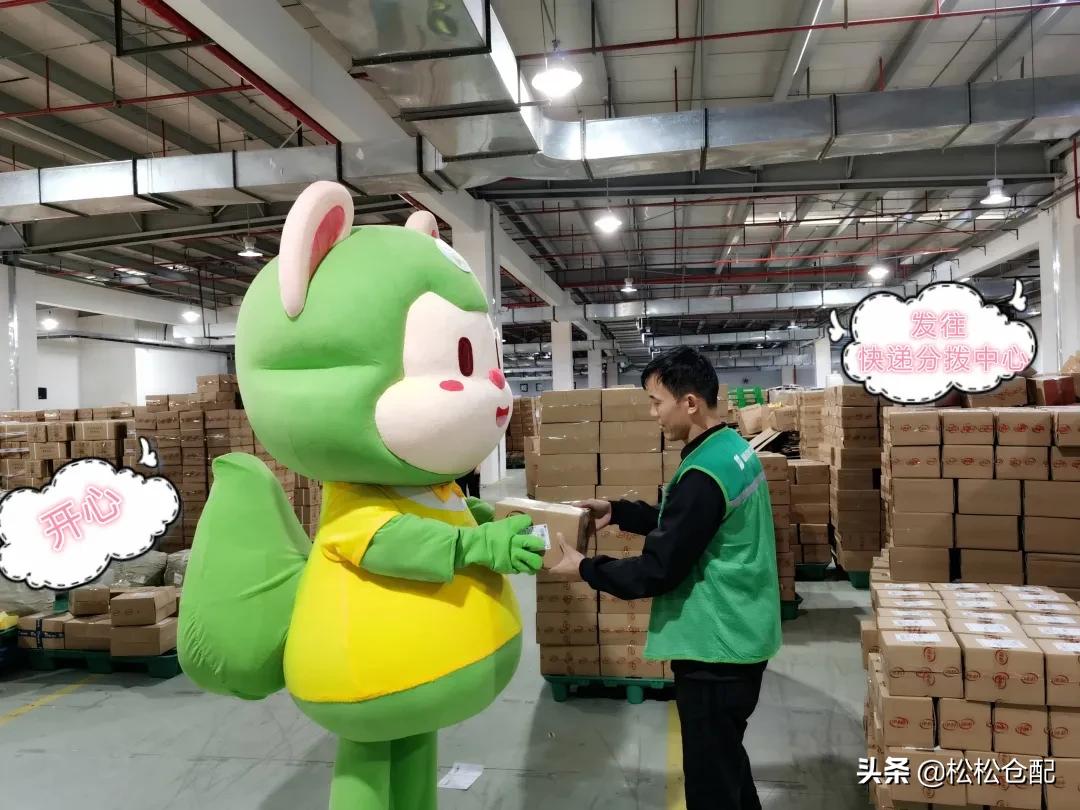 进击的松小裹丨打工人松小裹的学徒之旅