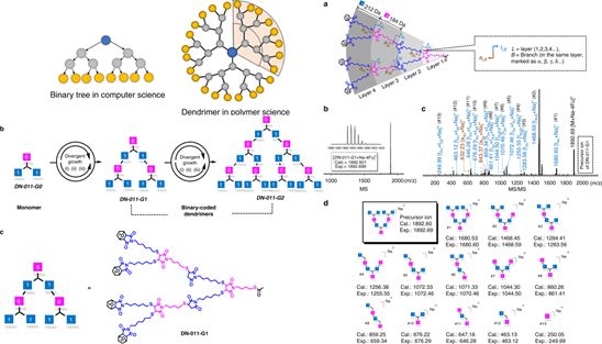 精选JACS/Angew12篇:树枝状大分子的最新成果大盘点